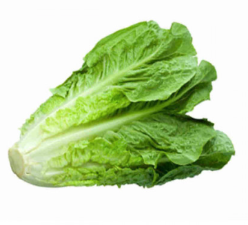 Салат зелений свіжий ромен, першого товарного сорту, ДСТУ 8107, 1 кг